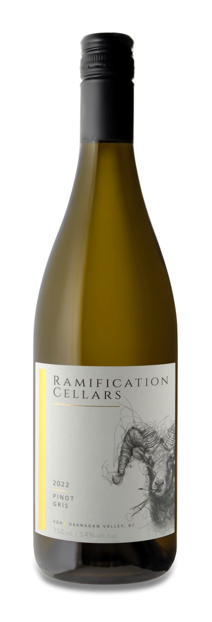 2022 Pinot Gris - New Vintage